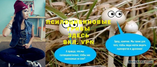 винт Богородицк