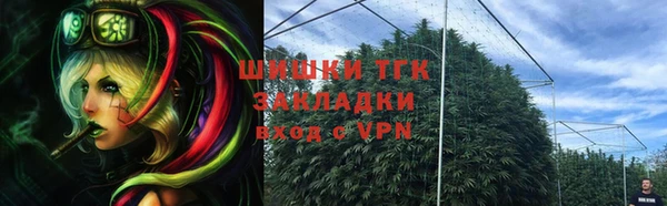 винт Богородицк