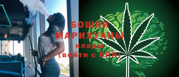спиды Богородск